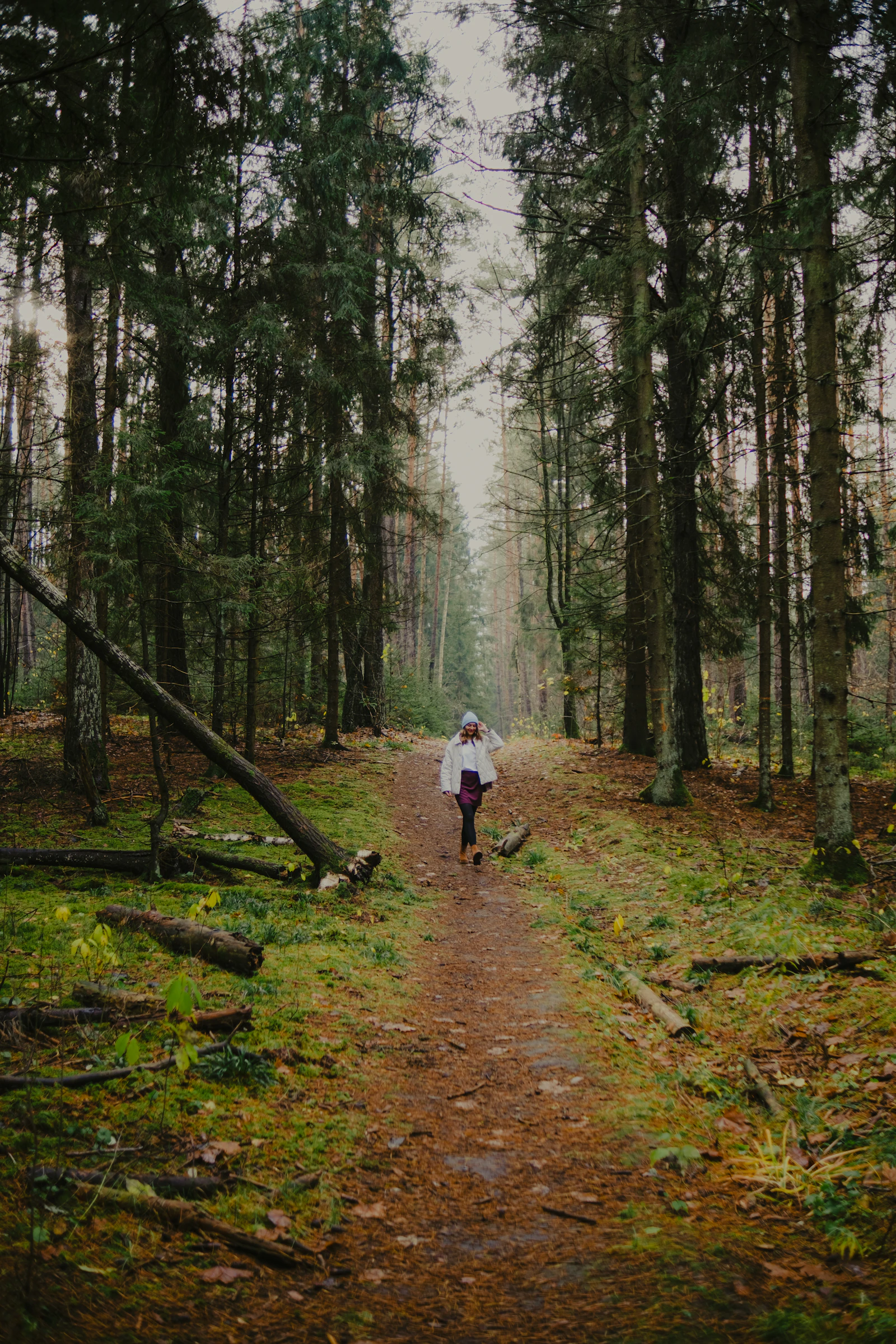 A person walking on a forest path at ground level